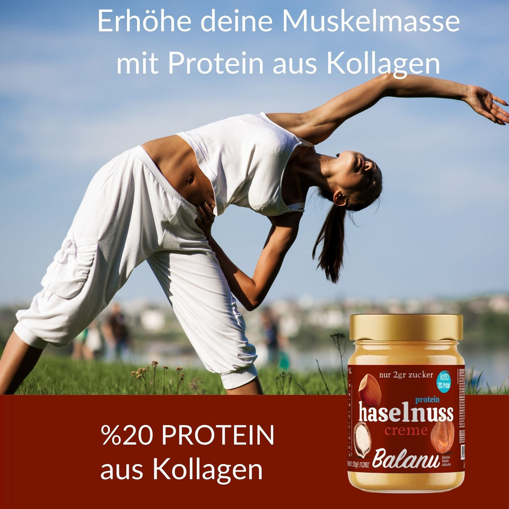 Hazelnut Protein Snack Bar 320g – High-Protein Sports Treat | Balanu
