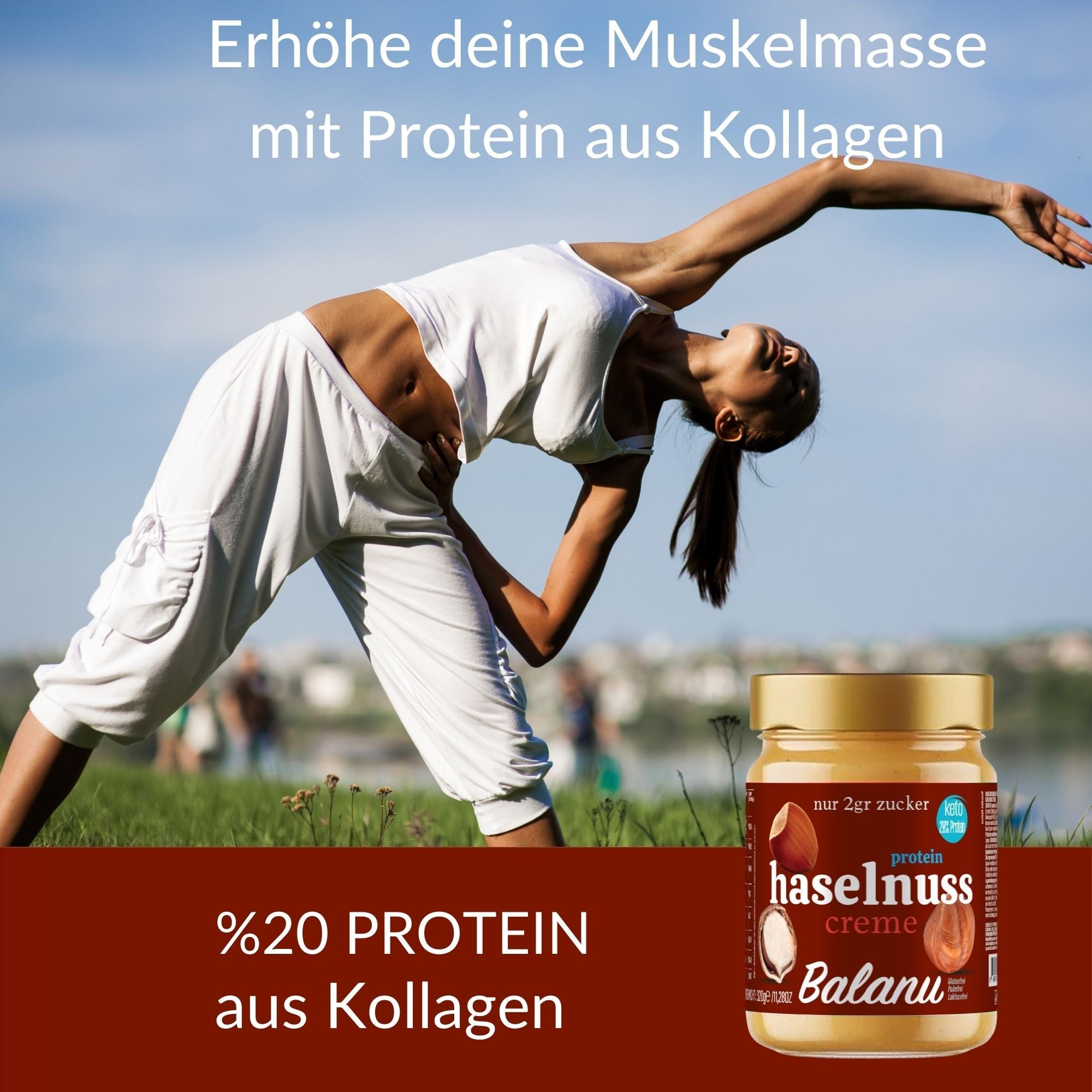 Hazelnut Protein Snack Bar 320g – High-Protein Sports Treat | Balanu